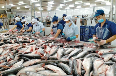 Xuất khẩu thủy sản khai thác sang Anh sắp có thêm yêu cầu về hồ sơ IUU