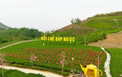 Festival Trà Quốc tế 2026: Mở rộng cơ hội phát triển thương hiệu trà Thái Nguyên