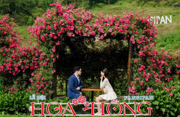 Hàng vạn du khách “đổ về” Fansipan, nô nức check in Lễ hội Hoa hồng 2026