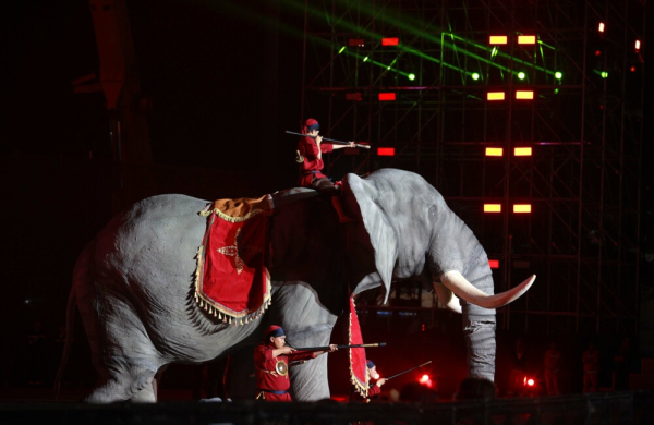 Bản giao hưởng giữa rừng và biển trong đêm khai mạc Năm Du lịch Quốc gia