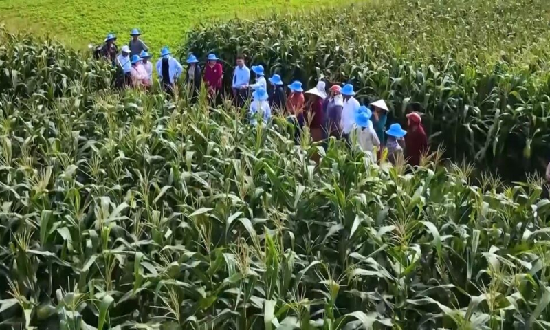 Đại hội XIV của Đảng: Nền tảng mới cho động lực tăng trưởng xanh