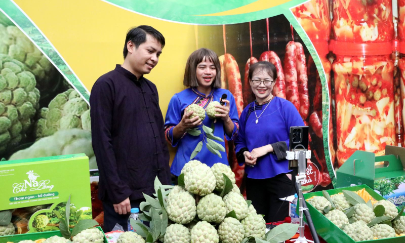 Công nghệ số 'cõng sinh kế' tới vùng cao