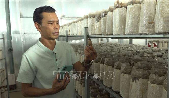 Phát triển nông nghiệp hiện đại trong thời đại số