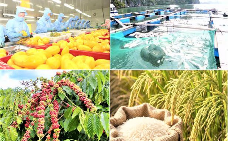 Xuất khẩu nông, lâm, thủy sản tăng hơn 10% so với cùng kỳ