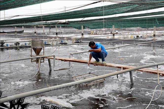 Canh tác biển, động lực mới cho kinh tế biển Việt Nam