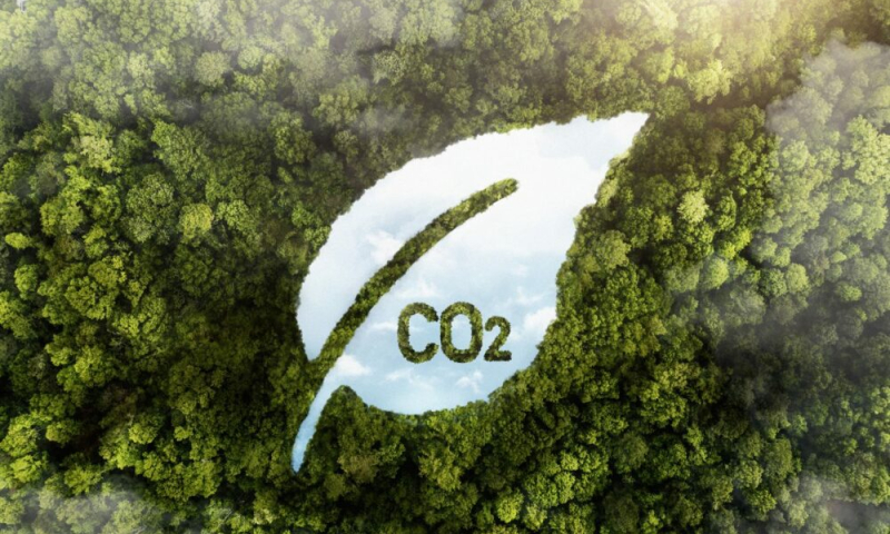 Tín chỉ carbon: Đã đến lúc doanh nghiệp nhỏ vào cuộc?