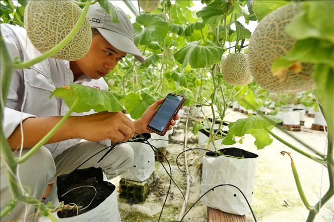 Chuyển đổi số có đang đè nặng doanh nghiệp nhỏ?