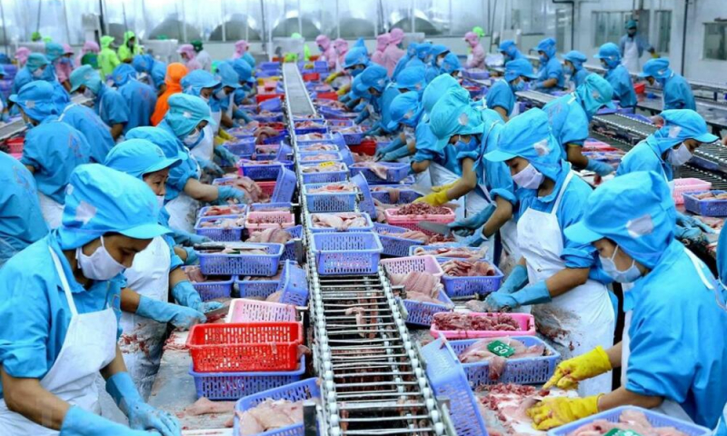 Thủy sản Việt Nam đa dạng sản phẩm và nâng cao giá trị nhằm đảm bảo tăng trưởng xuất khẩu