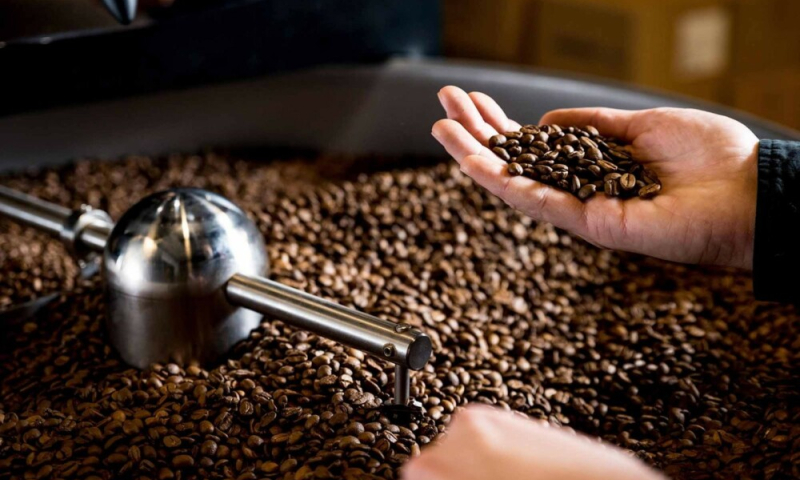 Giá cà phê tại nhà máy 235.000 đồng/kg, vì sao thị trường chỉ bán 130.000 đồng?