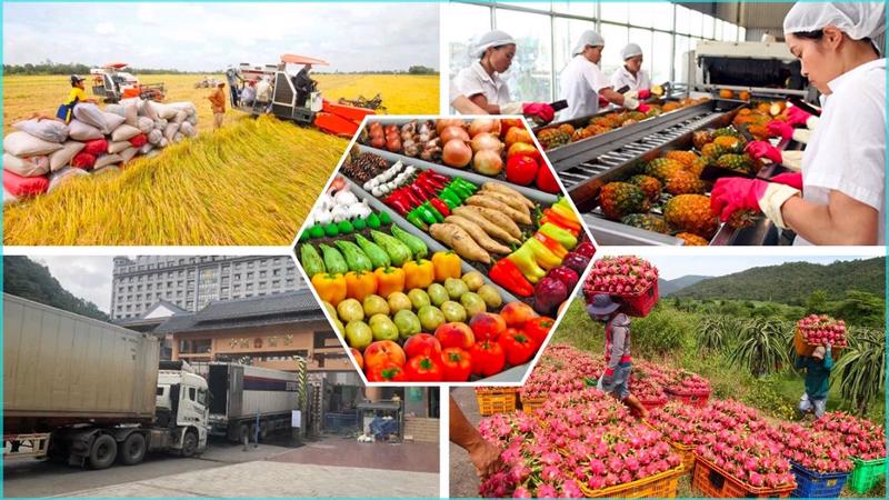 Những nông sản Việt Nam xuất khẩu nhiều nhất sang ASEAN