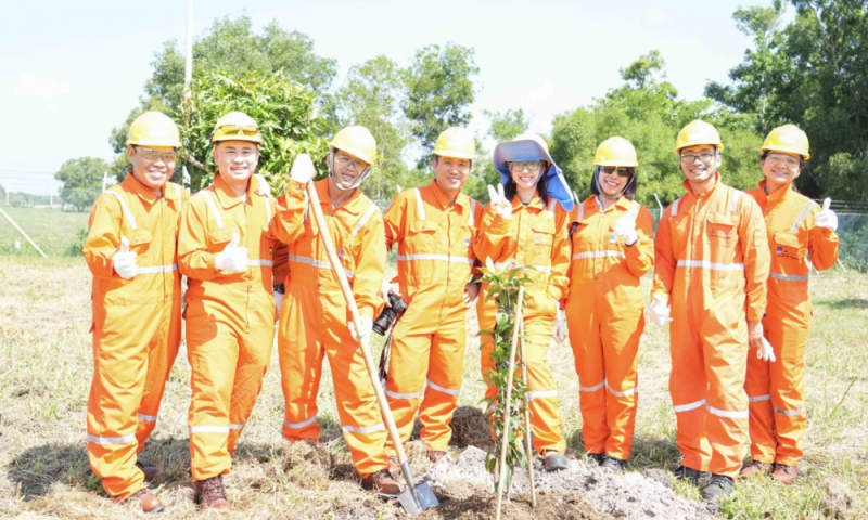 NCSP và PV GAS D chung tay phủ xanh không gian sống