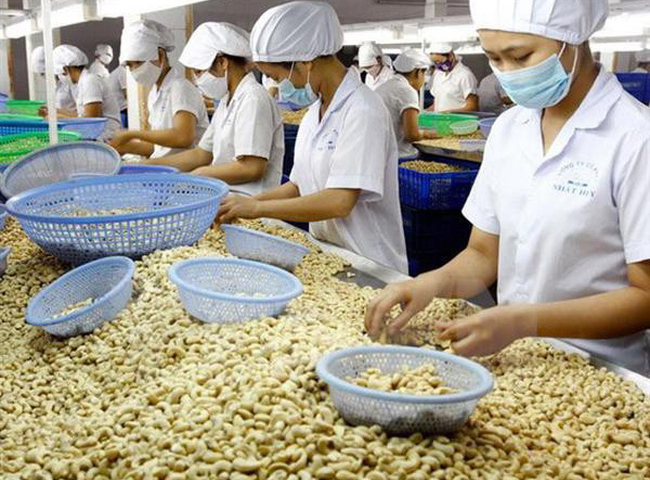 Mở rộng thị trường mới để xuất khẩu hạt điều