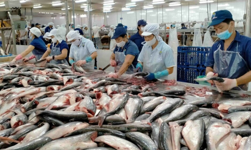 Trung Quốc vẫn dẫn đầu danh sách nhập cá tra VN