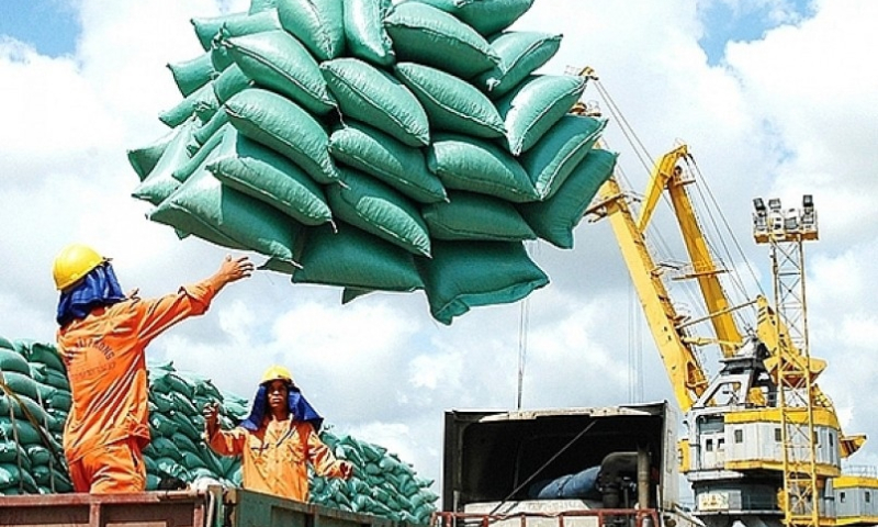 Xuất khẩu gạo Việt Nam chững lại vì Philippines tạm ngừng nhập khẩu