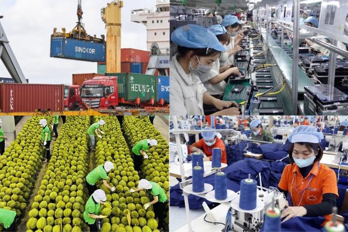 Việt Nam xuất siêu 19,56 tỷ USD, chuyên gia dự báo kỷ lục mới