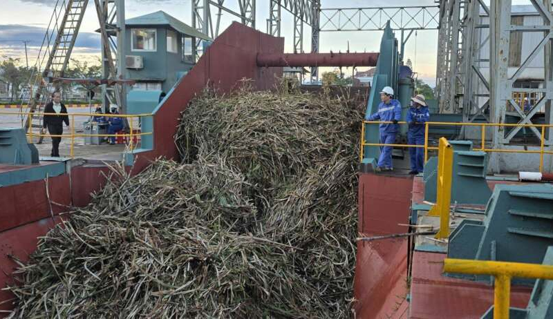 Nhà máy Đường An Khê vào vụ ép mới