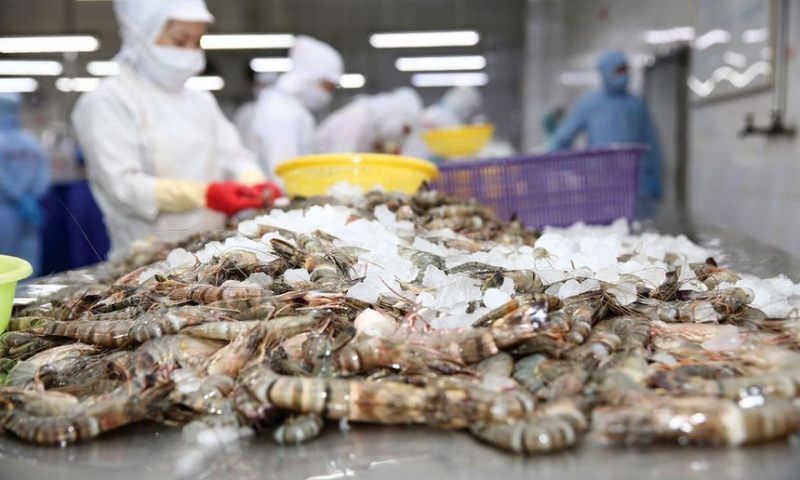 Xuất khẩu thủy sản sang Nhật tăng tốc: Việt Nam thu gần 1,6 tỷ USD trong 11 tháng