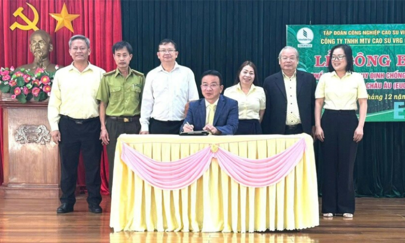 Đạt chuẩn EUDR, Cao su Chư Păh rộng đường vào thị trường châu Âu