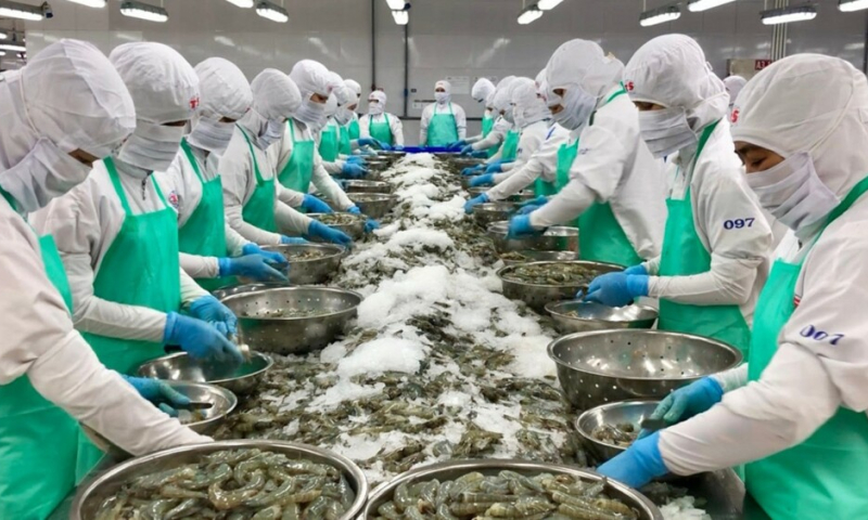 Thủy sản đặt mục tiêu xuất khẩu 11,5 tỷ USD năm 2026, chuyển hẳn sang tư duy kinh tế ngành