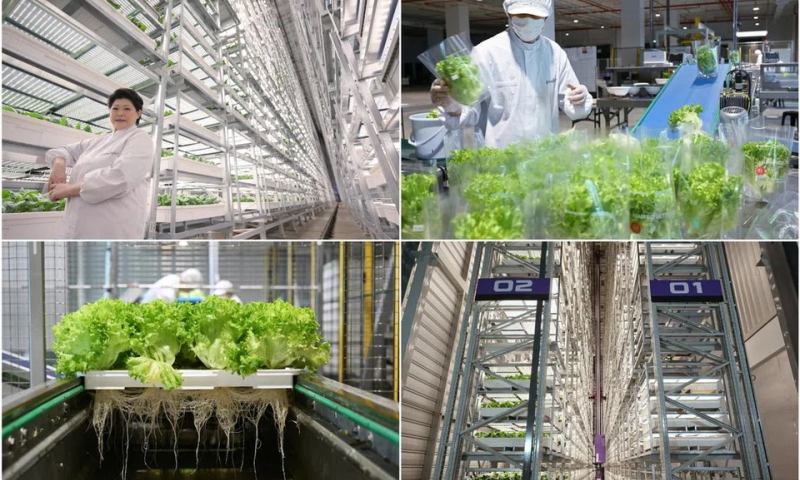 Trang trại thẳng đứng trong nhà cao nhất thế giới trị giá 80 triệu USD chính thức vận hành