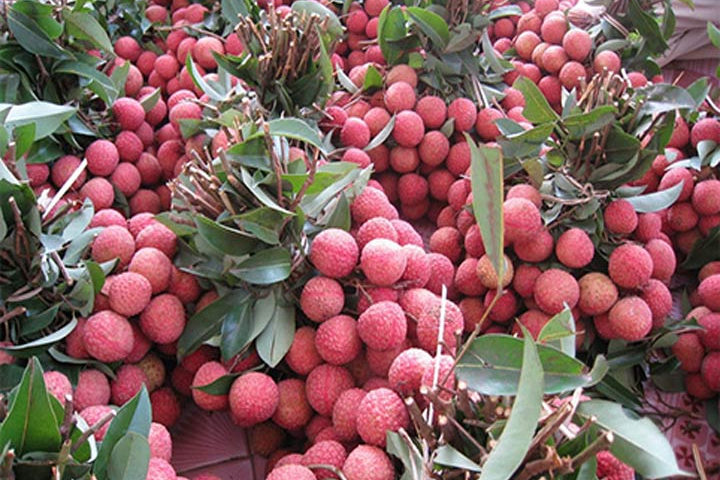 Rào cản SPS mới đang làm khó hàng xuất khẩu Việt