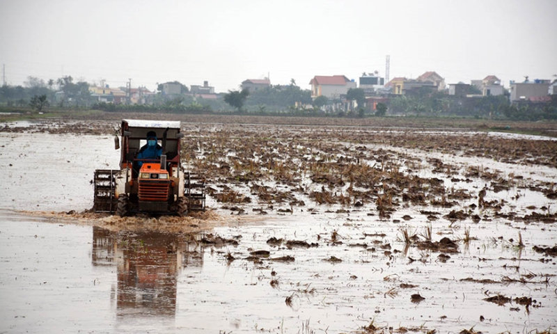 Thêm hơn 6% diện tích có nước để gieo cấy vụ Đông Xuân