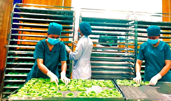 Thưởng Tết Bính Ngọ 2026 tăng hơn năm ngoái dù kinh tế nhiều biến động