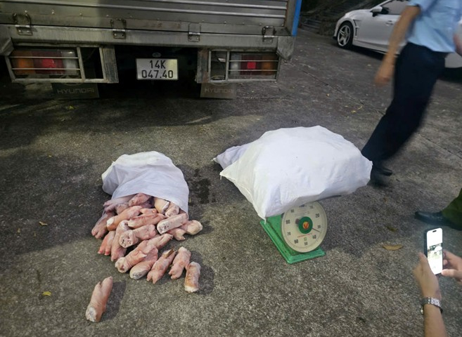 Quảng Ninh: Bắt giữ hơn 12 tấn chân lợn đông lạnh không rõ nguồn gốc, xuất xứ