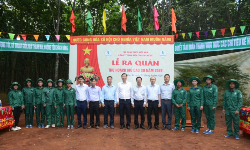 Cao su Chư Sê quyết tâm vượt 10% kế hoạch sản lượng