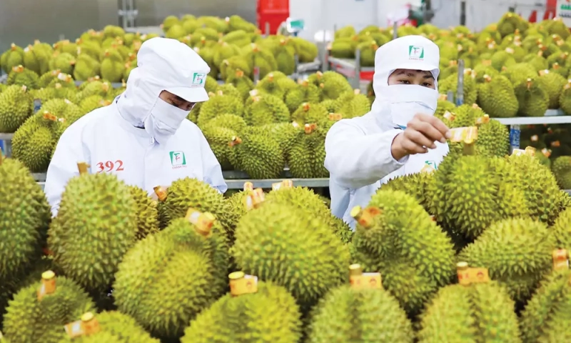 Gỡ 