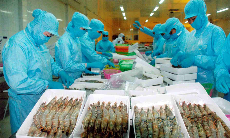 132 doanh nghiệp Việt xuất khẩu tôm vào Hoa Kỳ chịu mức thuế 25,76%