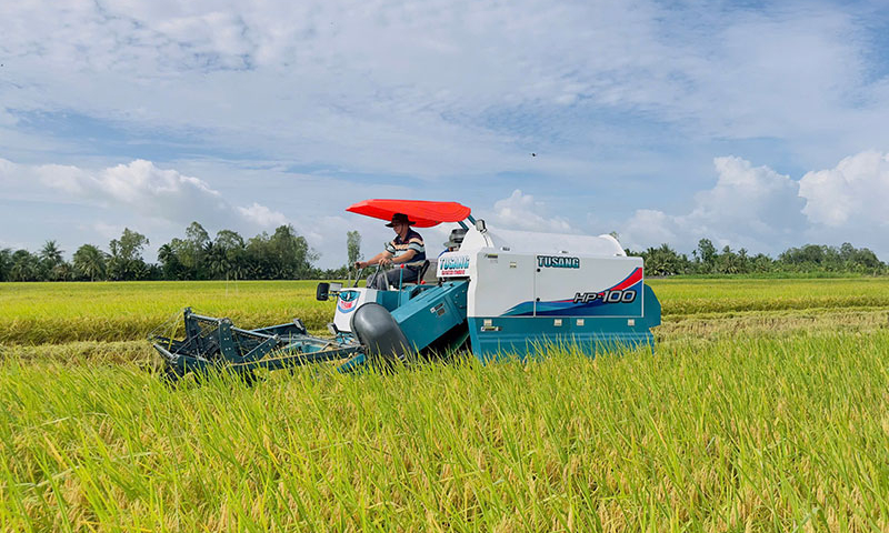 Động lực mới để nâng sức cạnh tranh cho nông sản Việt