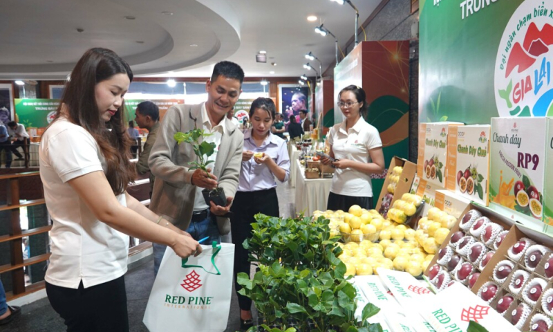 Mở đường cho nông sản, sản phẩm OCOP Gia Lai vào siêu thị lớn