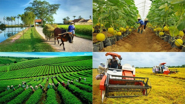 Phấn đấu hỗ trợ 25.000 doanh nghiệp, hộ kinh doanh, hợp tác xã kinh doanh bền vững