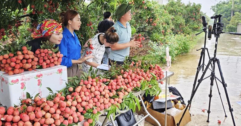 Thương mại điện tử mở đường mới cho chuỗi giá trị nông sản