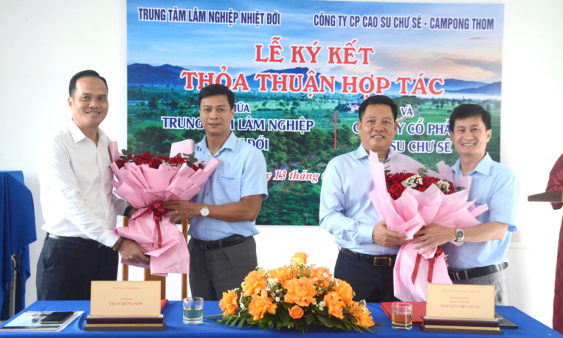 Cao su Chư Sê – Kampong Thom hợp tác toàn diện với Trung tâm Lâm nghiệp Nhiệt đới