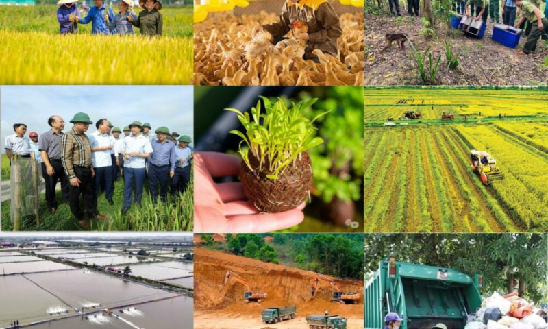 Cắt giảm thủ tục nông nghiệp và môi trường, khơi thông nguồn lực phát triển