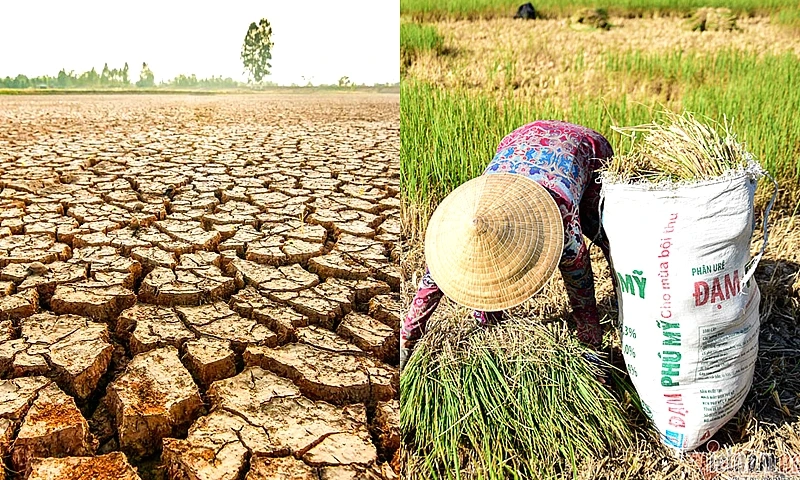 Chủ động ứng phó ảnh hưởng của El Nino mùa khô năm 2026 - 2027