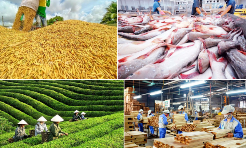 Châu Á tiếp tục chiếm tỷ trọng lớn trong xuất nhập khẩu nông lâm thủy sản Việt Nam