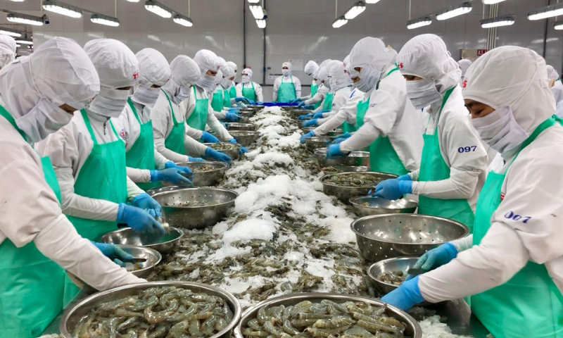 VASEP kiến nghị tháo gỡ vướng mắc thuế cho doanh nghiệp thủy sản