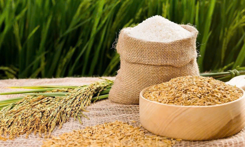 Giá gạo Việt Nam xuất khẩu cao nhất gần hai tháng