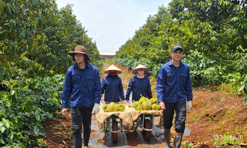 Bầu Đức lập Ủy ban ESG, đưa HAGL chinh phục 'hàng rào xanh' quốc tế