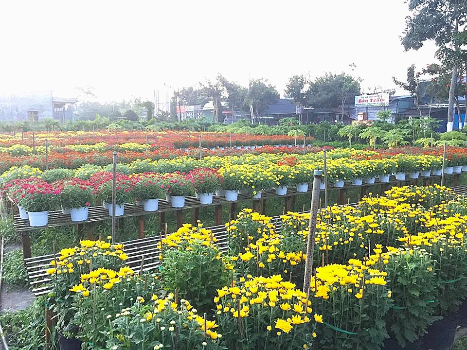 Khơi thông tín dụng tam nông hướng đến nông nghiệp bền vững