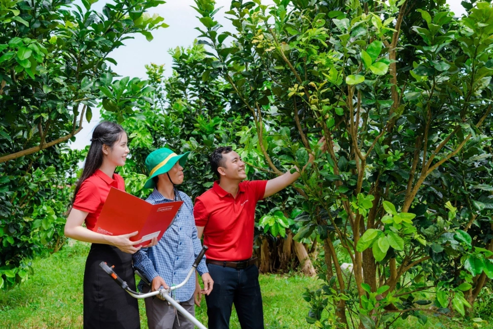 Agribank - doanh nghiệp ESG Việt Nam Xanh 2025