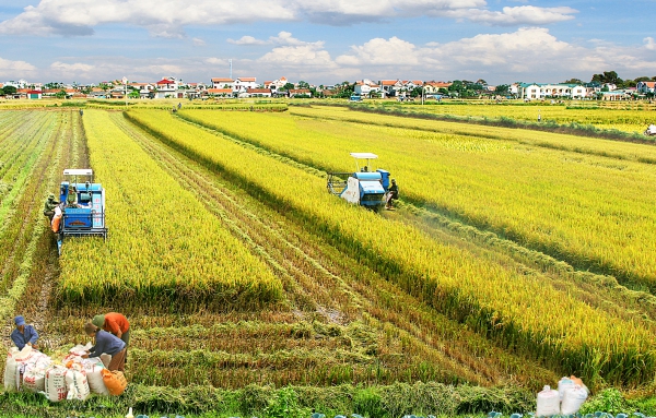 Cơ chế thử nghiệm linh hoạt: Đòn bẩy đổi mới trong nông nghiệp hiện đại
