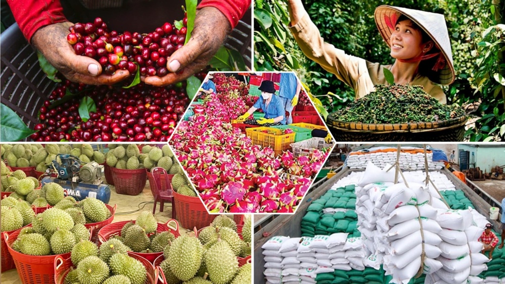 Bài toán nâng tầm chuỗi cung ứng nông sản Việt