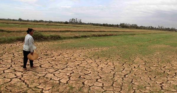 El Nino rất mạnh tác động đến Việt Nam ra sao?