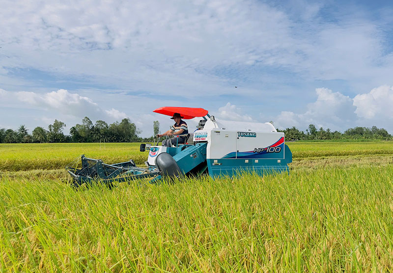 Động lực mới để nâng sức cạnh tranh cho nông sản Việt