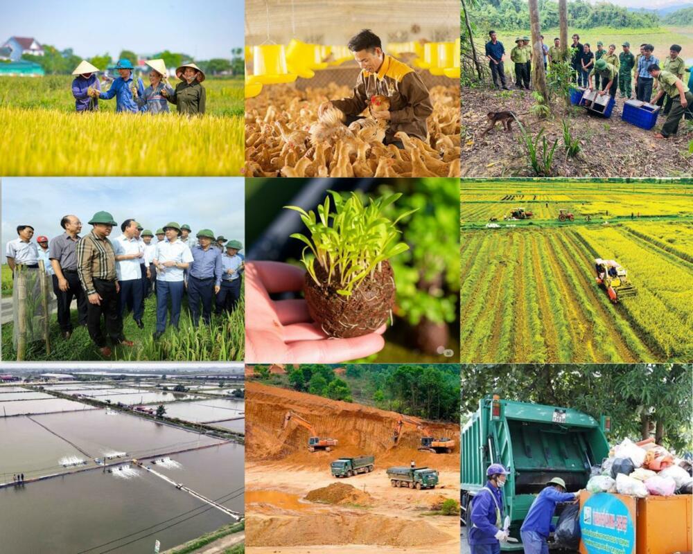 Cắt giảm thủ tục nông nghiệp và môi trường, khơi thông nguồn lực phát triển