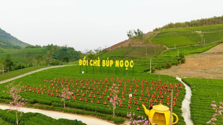 Festival Trà Quốc tế 2026: Mở rộng cơ hội phát triển thương hiệu trà Thái Nguyên